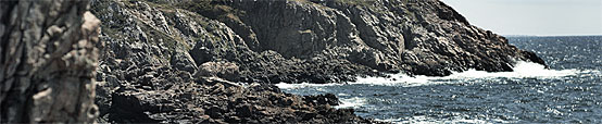 di2009_554x114_nature_01.jpg